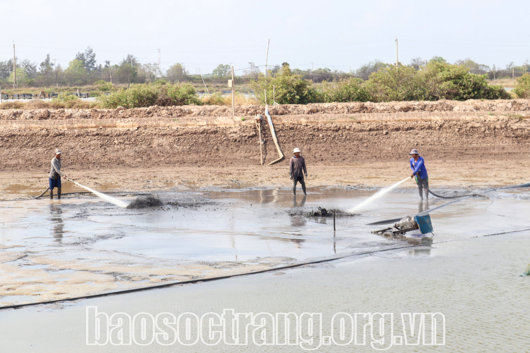 Bảo vệ tôm nuôi trong thời điểm nắng nóng