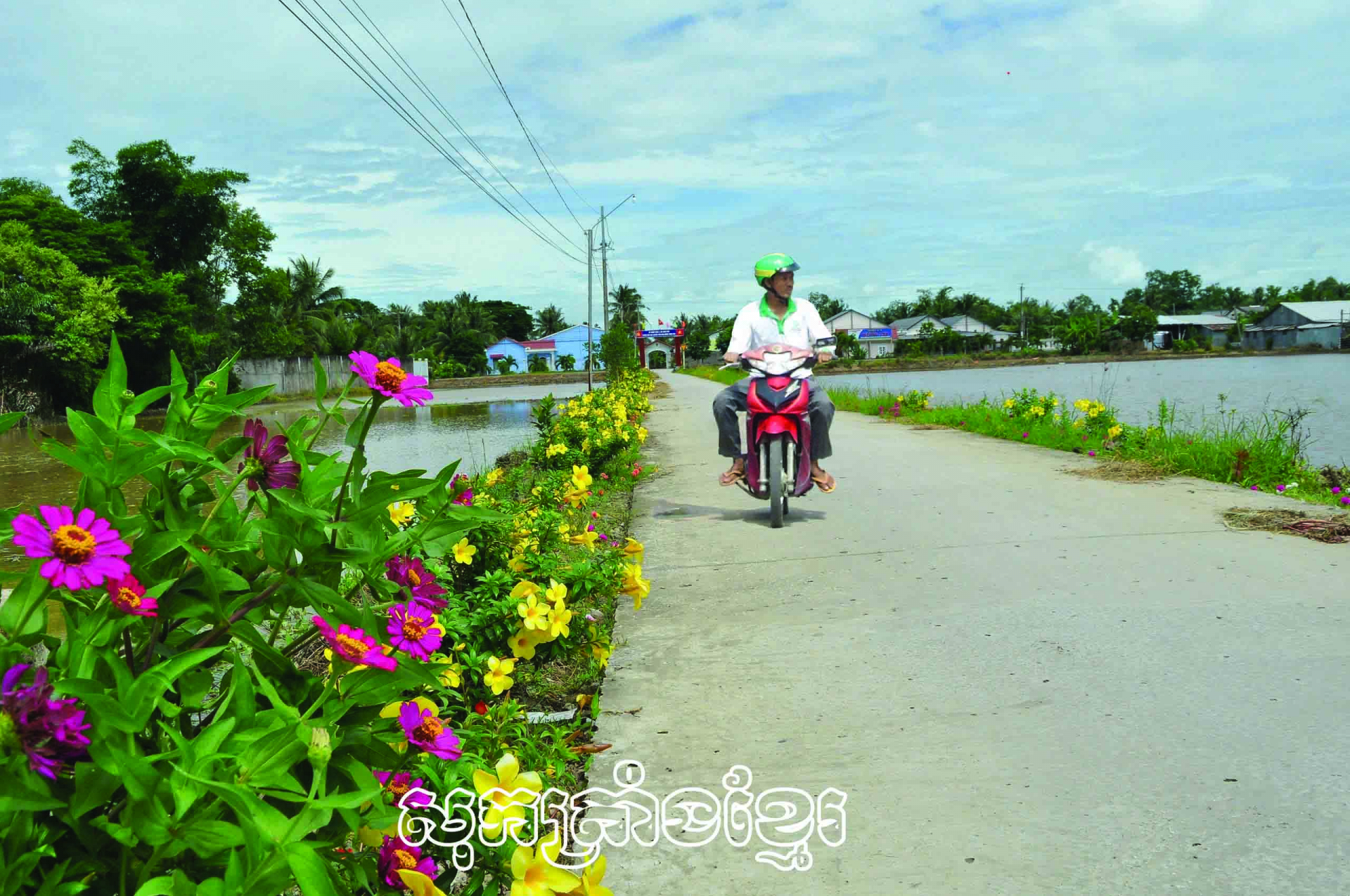 ដងផ្លូវផ្កាគំរូនៅភូមិទឹកប្រៃ២ ឃុំឡុងភូ ស្រុកឡុងភូ (សុកត្រាំង)