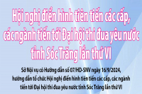 [Infographic] Hội nghị điển hình tiên tiến các cấp, các ngành tiến tới Đại hội thi đua yêu nước tỉnh Sóc Trăng lần thứ VI