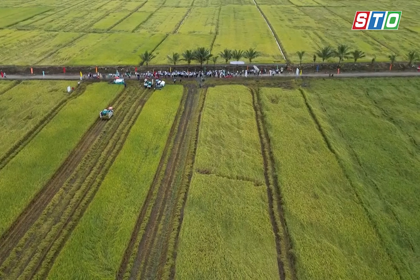 [Media] Hiệu quả tái cơ cấu ngành Nông nghiệp ở Sóc Trăng