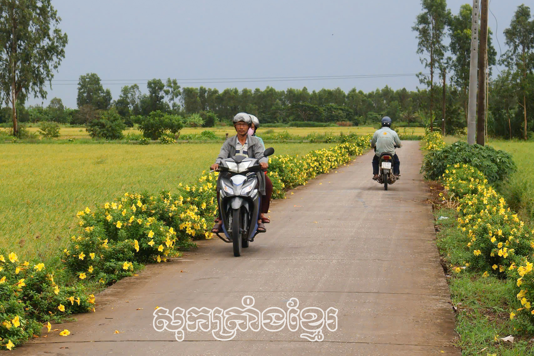 ដងផ្លូវគមនាគមន៍ជនបទតភ្ជាប់ពីភូមិតឹងហ៊ីប-បឹងឡុង-បឹងធំ។