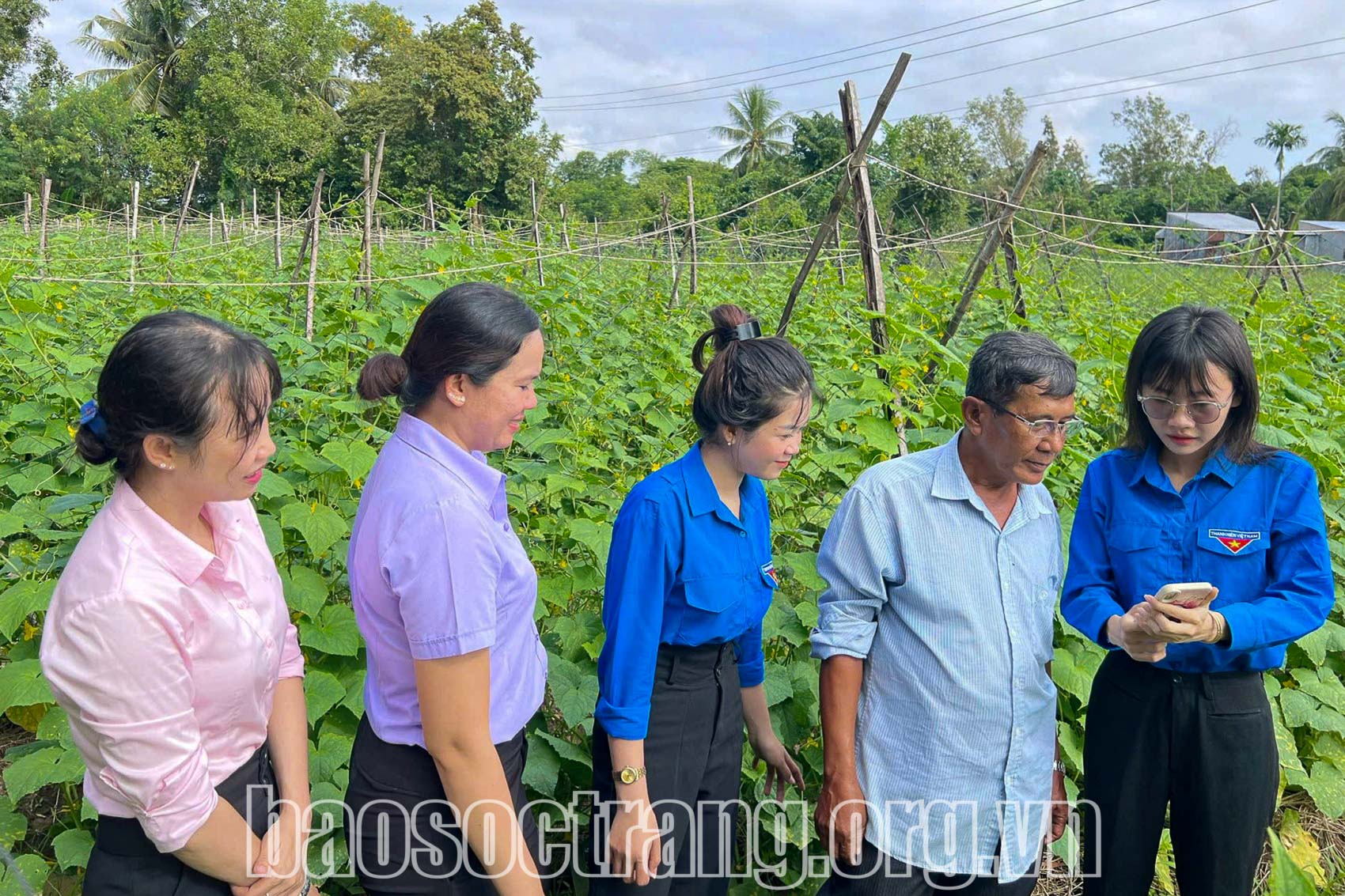 Thành viên tổ công nghệ số cộng đồng hướng dẫn người dân ứng dụng công nghệ vào sản xuất. Ảnh: HẢI HÀ