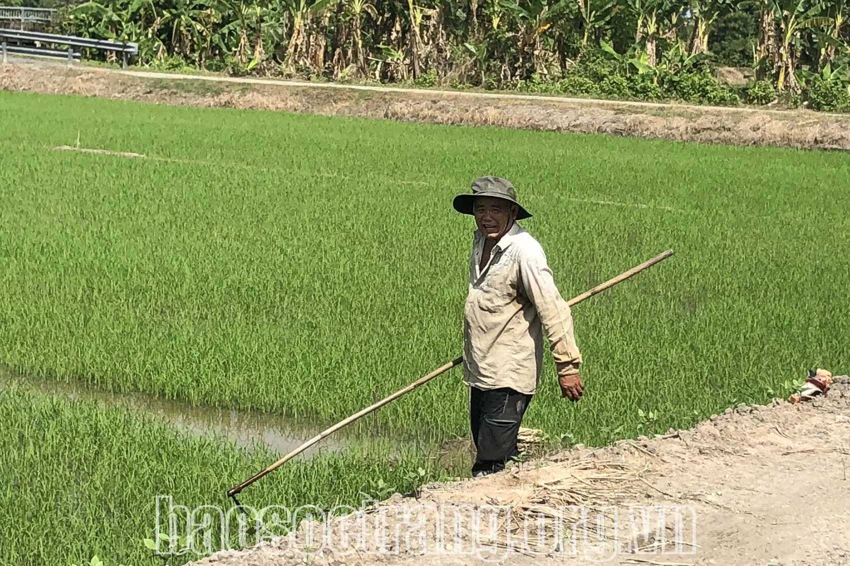 Người dân tộc thiểu số thuộc diện nghèo còn được Nhà nước giải quyết đất sản xuất. Ảnh: KIM NGỌC