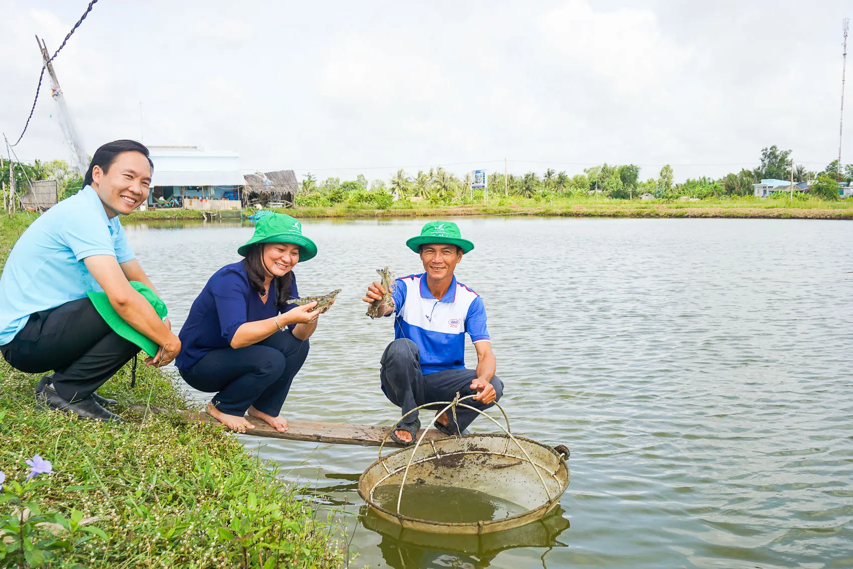 Anh Mã Văn Hồng - Giám đốc Hợp tác xã Nông ngư Hòa Đê, ở huyện Mỹ Xuyên (Sóc Trăng) (bên phải) vẫn duy trì mô hình nuôi tôm sú nhờ tính an toàn và bền vững từ mô hình tôm - lúa. Ảnh: TÍCH CHU