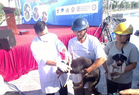 Phòng ngừa bệnh dại là rất quan trọng