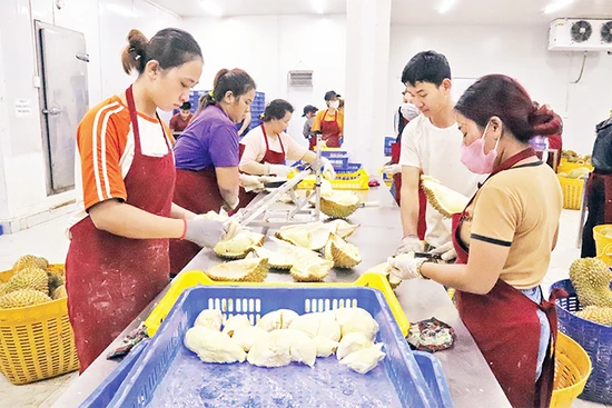 Tăng tốc xuất khẩu nông sản cuối năm