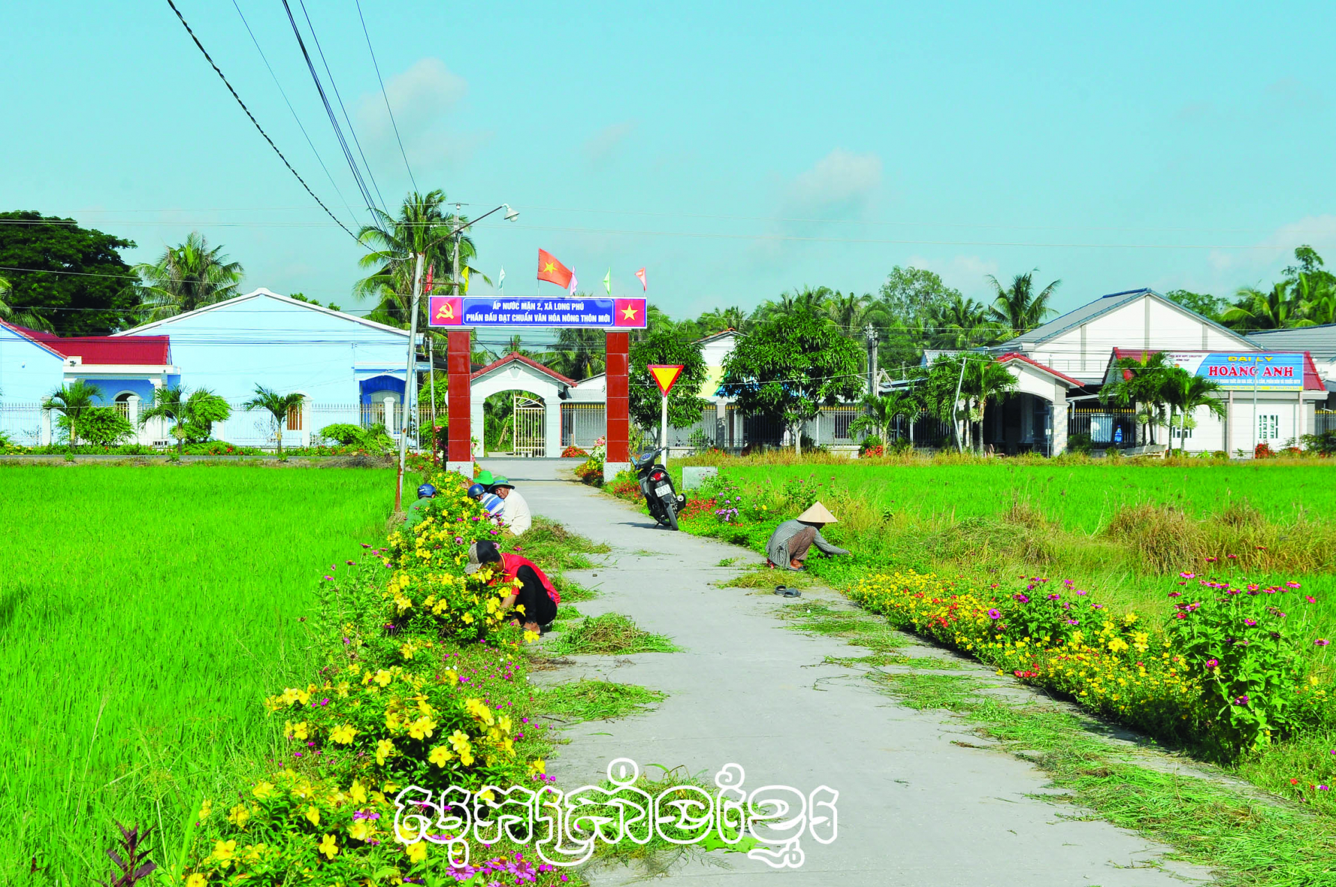 សាខាបក្សភូមិទឹកប្រៃកណ្តាល ធ្វើស្មៅនិងថែទាំផ្កាតាមដងផ្លូវ    