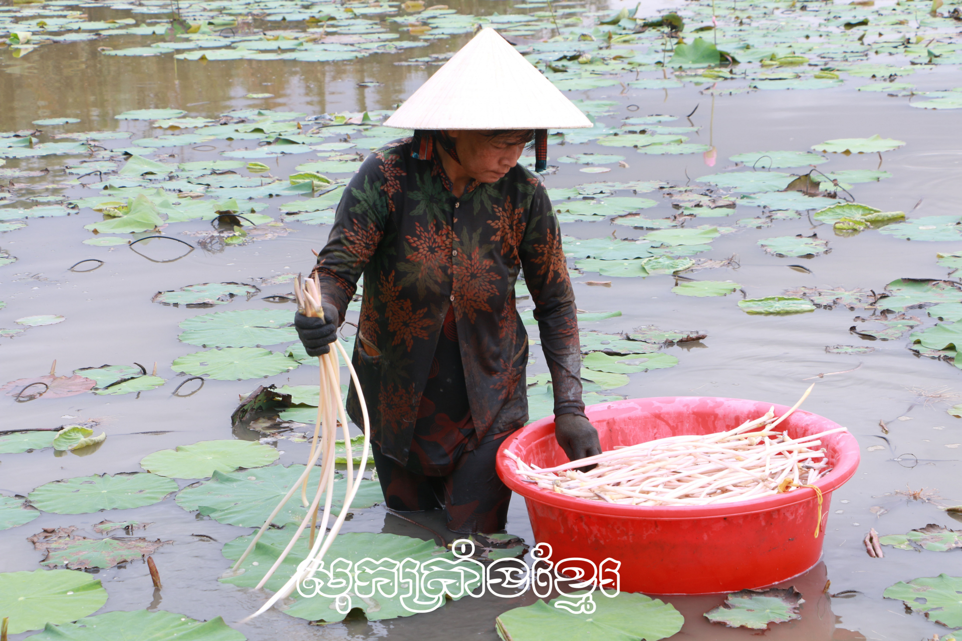 ជីវភាពជនរួមជាតិខ្មែរនៅខេត្តសុកត្រាំងមិនបង្អង់កែលម្អ។