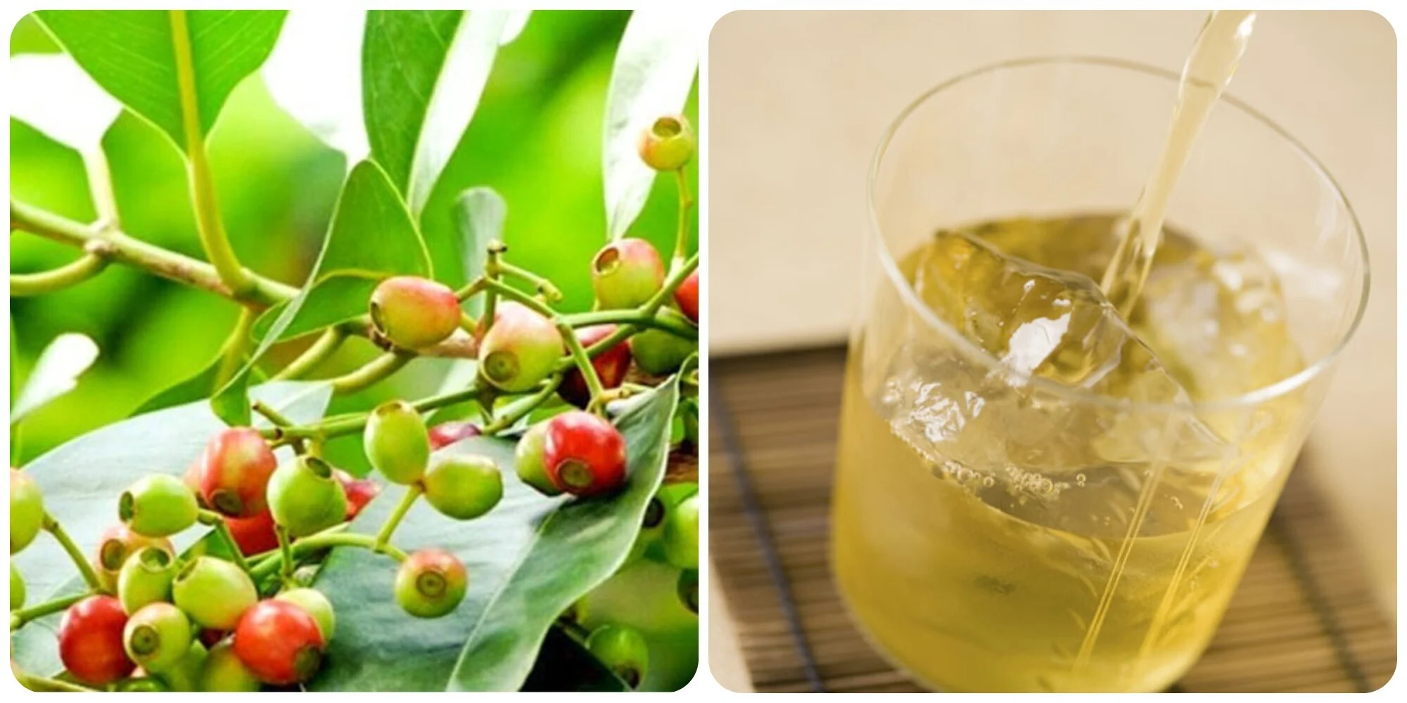 Những nhóm người 'đại kỵ' với nước vối