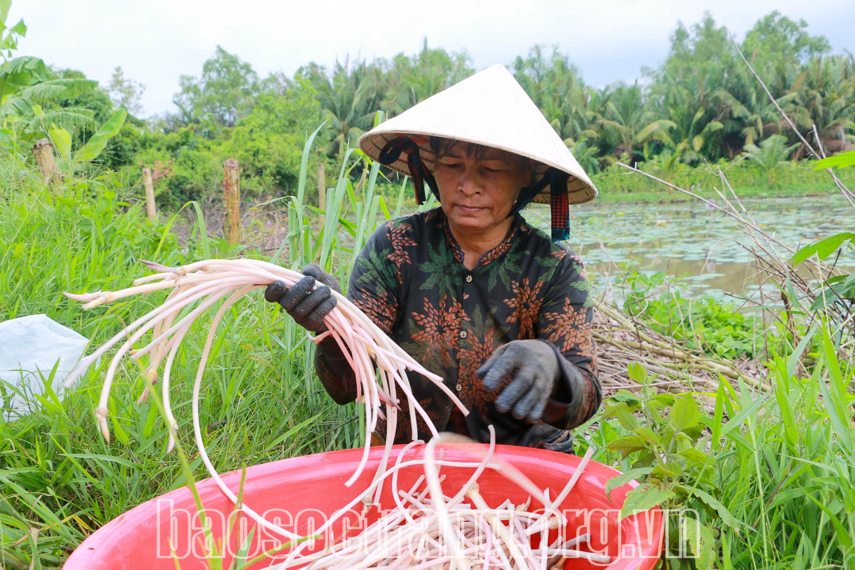 Vốn tín dụng chính sách xã hội giúp hộ dân vượt khó thoát nghèo. Ảnh: QUANG BÌNH