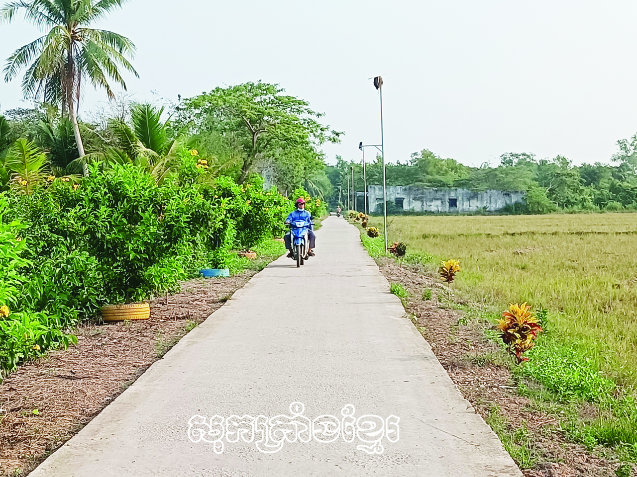 ដងផ្លូវជនបទនៅឃុំភូមីបានដាក់អំពូលភ្លើងអគ្គិសនី “អុជបំភ្លឺដងផ្លូវ”