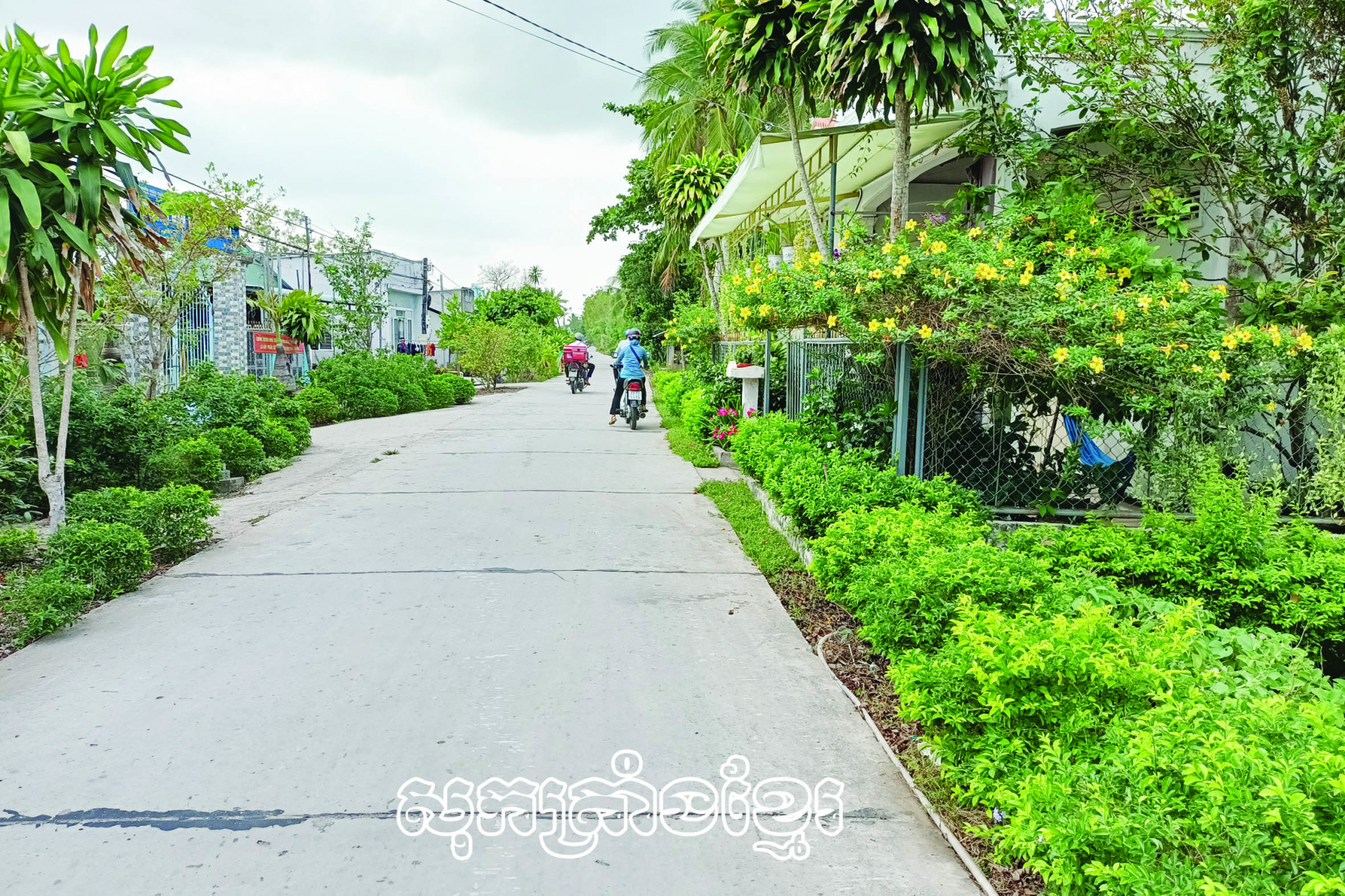 ទិដ្ឋភាពតាមភូមិស្រុកដែលកសាងជនបទថ្មីនៅស្រុកចូវថាញ់ (សុកត្រាំង)