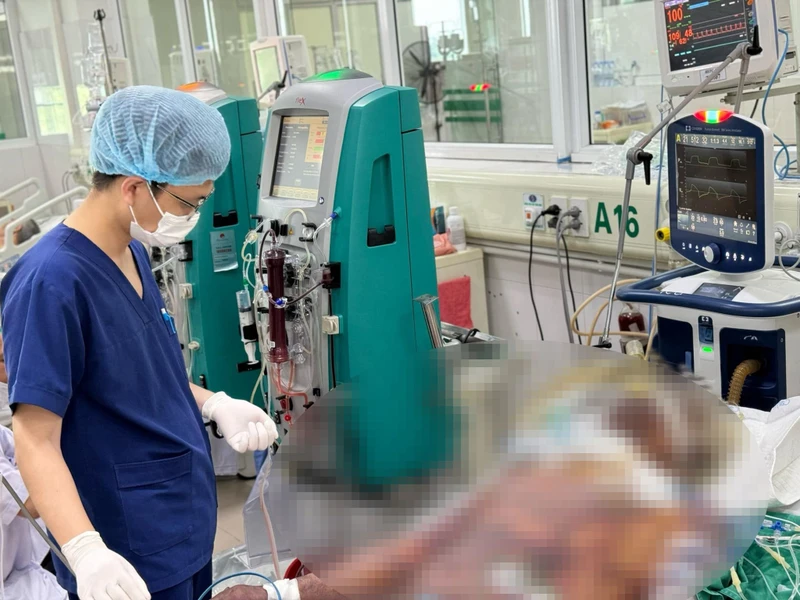 Bệnh liên cầu lợn và các biện pháp phòng tránh