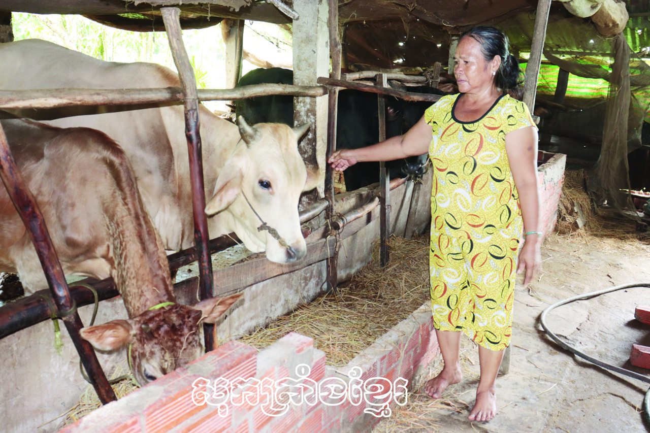 មីងថាច់ធីគីមហៀងភូមិគៀកឡឹប A ឃុំឡឹមតឹងលំនឹងជីវភាពដោយសារការប្រើប្រាស់ទុនធនាគារគោលនយោបាយសង្គមមានប្រសិទ្ធភាព។