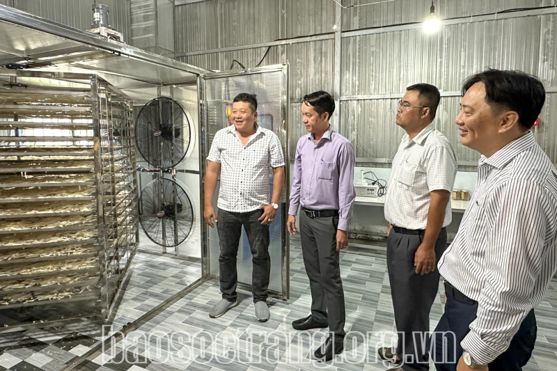 Hỗ trợ doanh nghiệp ứng dụng máy móc tiên tiến vào chế biến nông sản