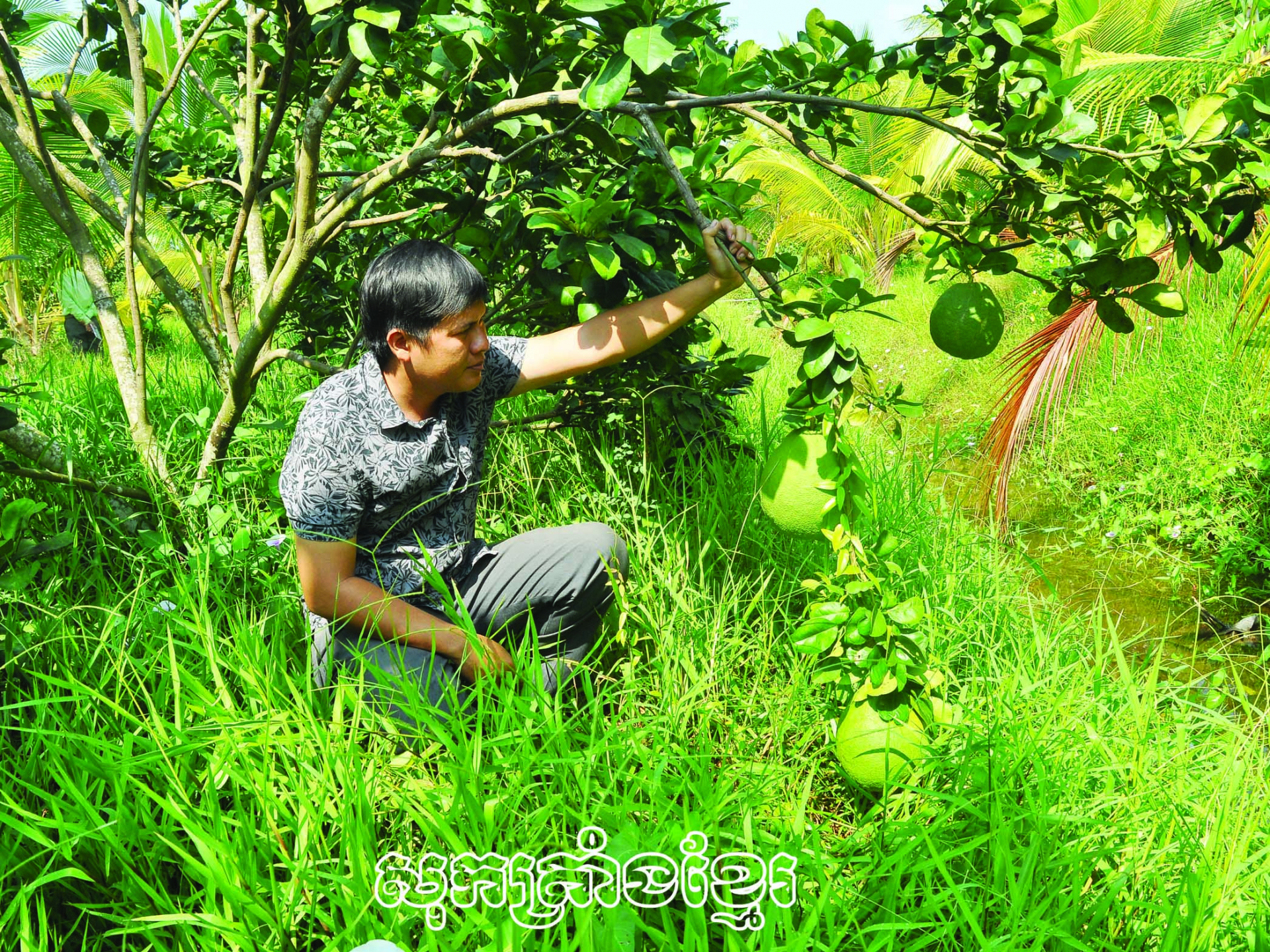 ក្រុមសហករណ៍ក្រូចថ្លុង នៅឃុំភូហ៊ឺវបានទទួលស្គាល់ផលិតផល OCOP។