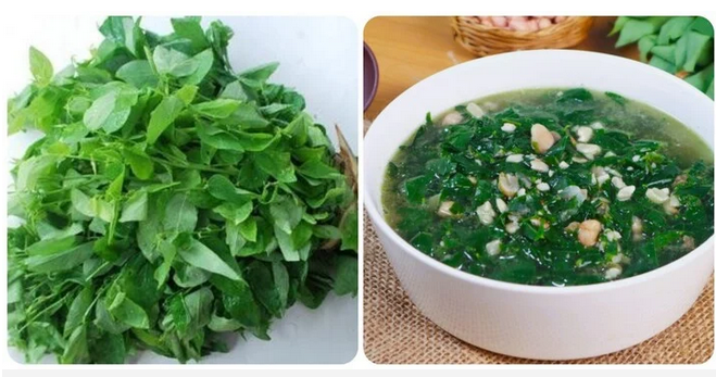 Ngày nào cũng ăn rau ngót có tốt?
