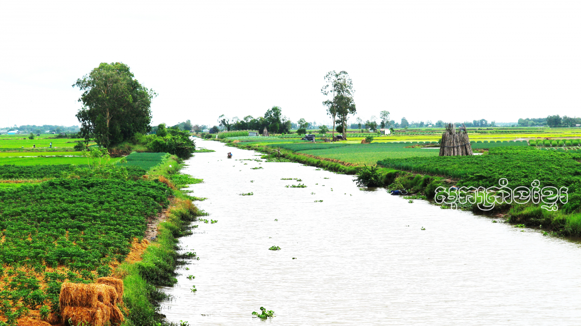 ធារាសាស្រ្តបានវិនិយោគសម្រេចរួចរាល់ជួយមាមីងកសិករធានាទឹកស្រោចស្រពក្នុងការផលិតកសិកម្ម។