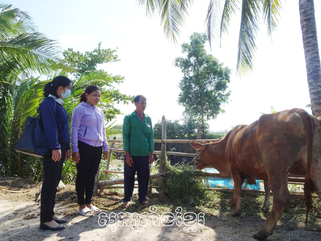 អាស្រ័យសមាគមកសិករបង្កលក្ខណៈឱ្យបុលទុន ទើបគ្រួសារបងងោមិញកាញ់បានលំនឹងជីវភាពគ្រួសារ។