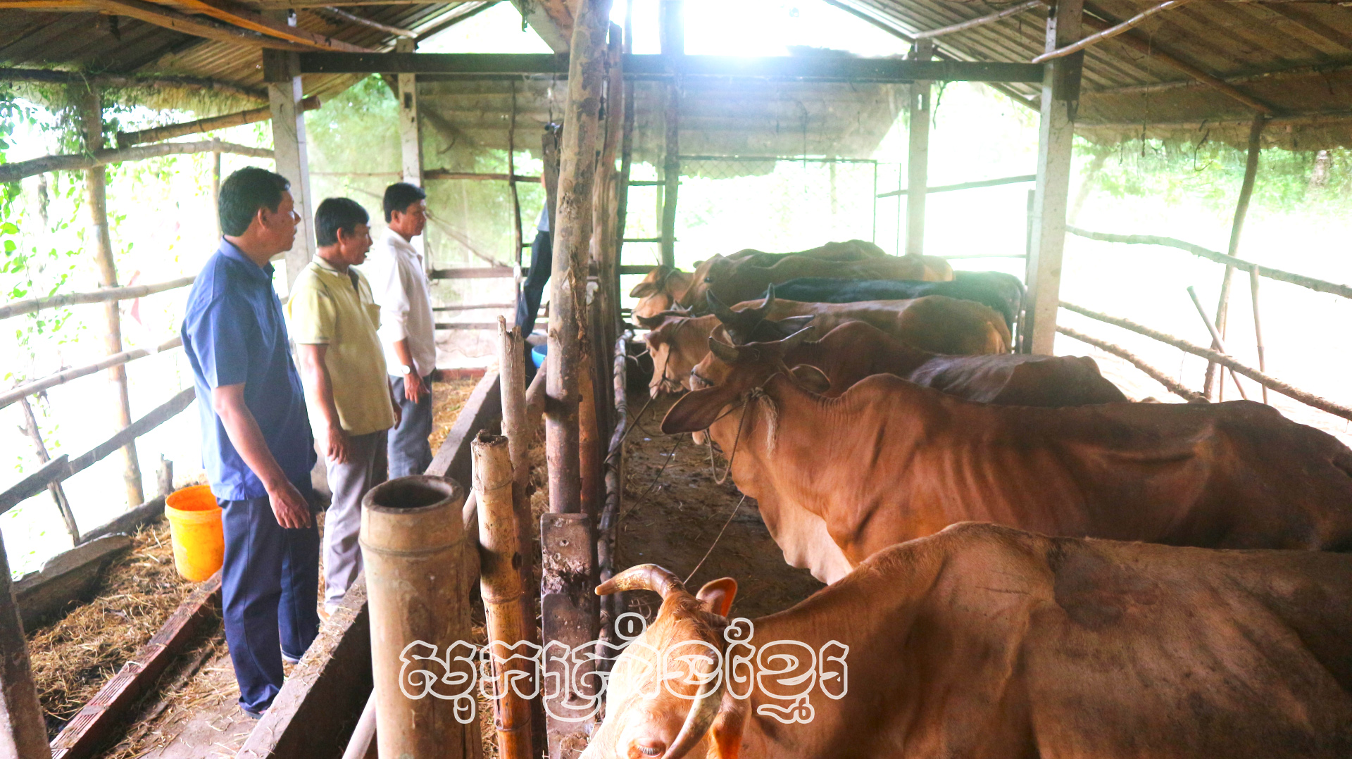 យុទ្ធជនពិការស៊ើងឡុក (ឈរកណ្តាល) ភូមិសុកមើយ ឃុំឡុងភូ ស្រុកឡុងភូ (សុកត្រាំង)។