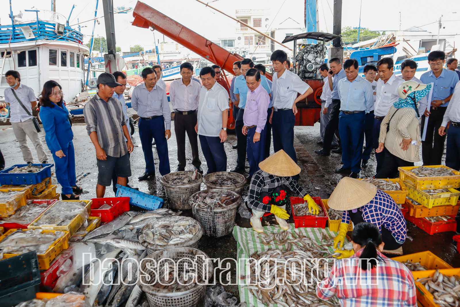 Tiềm năng và thế mạnh của huyện Trần Đề trong thu hút, kêu gọi đầu tư