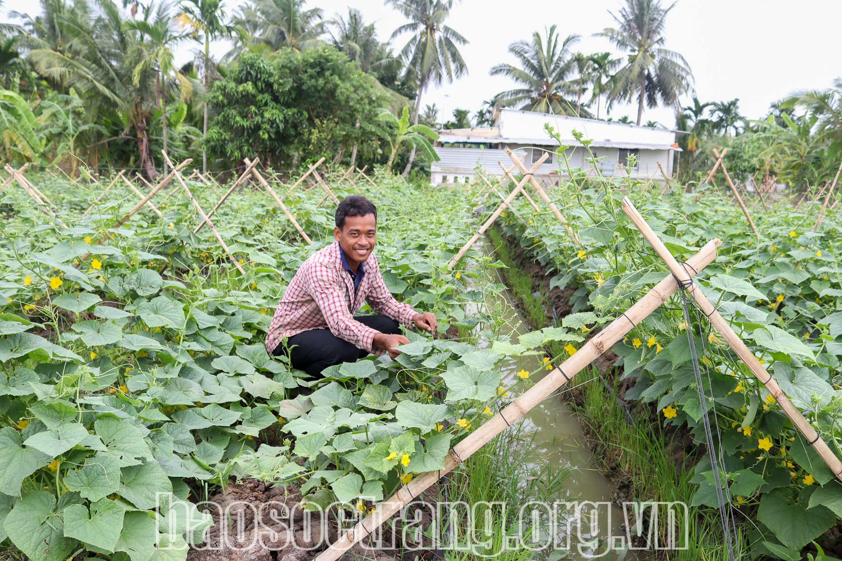 Đời sống ấm no nhờ Đảng và Nhà nước hỗ trợ nguồn lực
