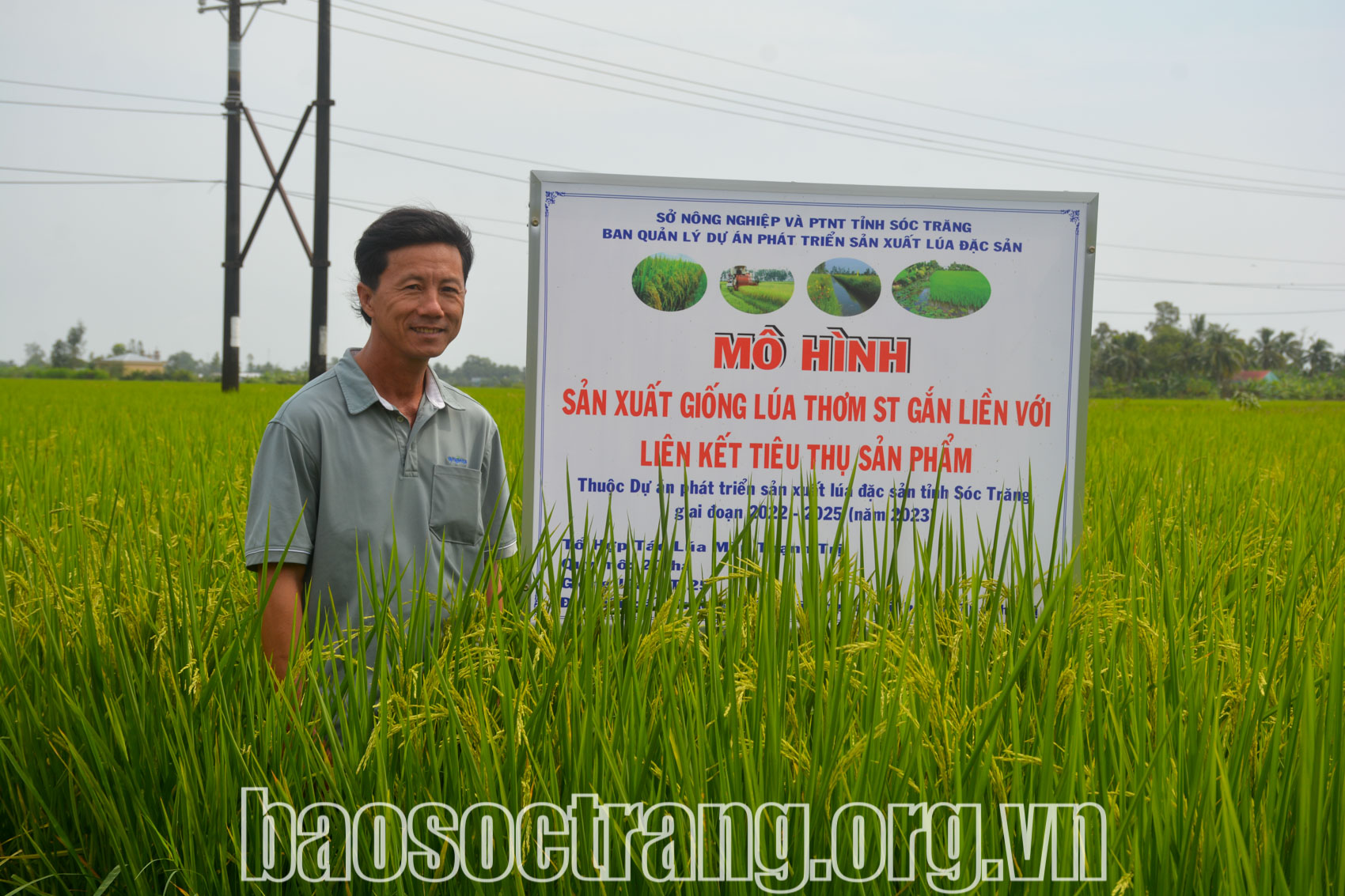 Huyện Thạnh Trị đạt nhiều kết quả tích cực trên lĩnh vực nông nghiệp, nông thôn