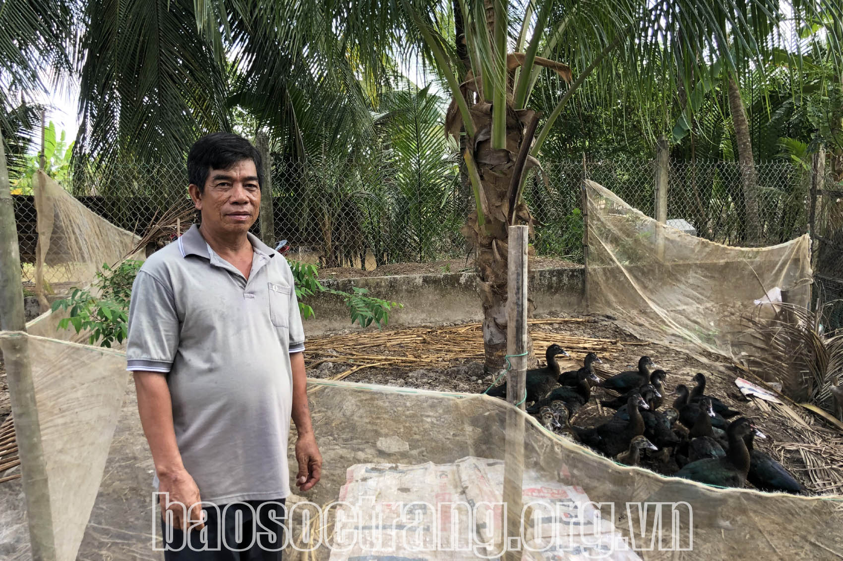 Tấm gương vượt khó, thoát nghèo của cựu chiến binh Đặng Văn Nghĩa