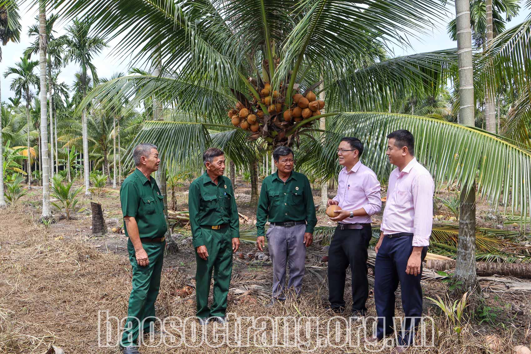 Vốn chính sách tạo động lực cho cựu chiến binh thoát nghèo