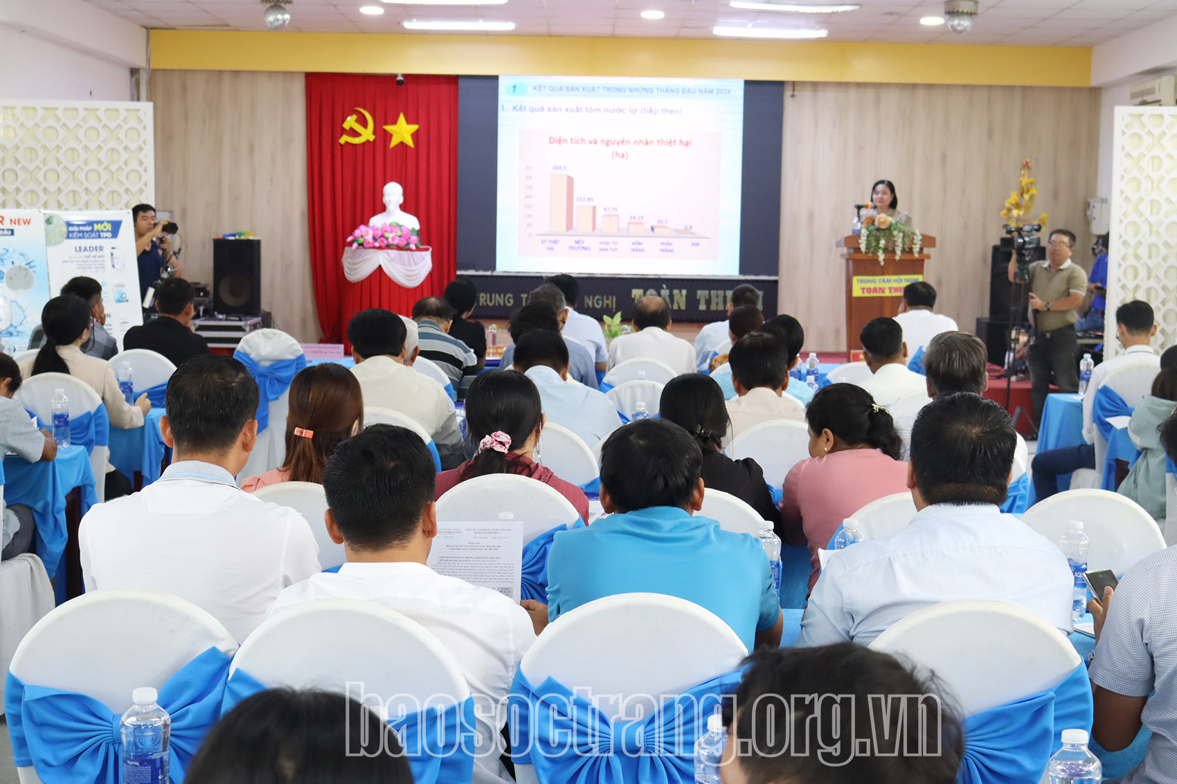 Tìm giải pháp phòng trị các bệnh trên tôm nước lợ