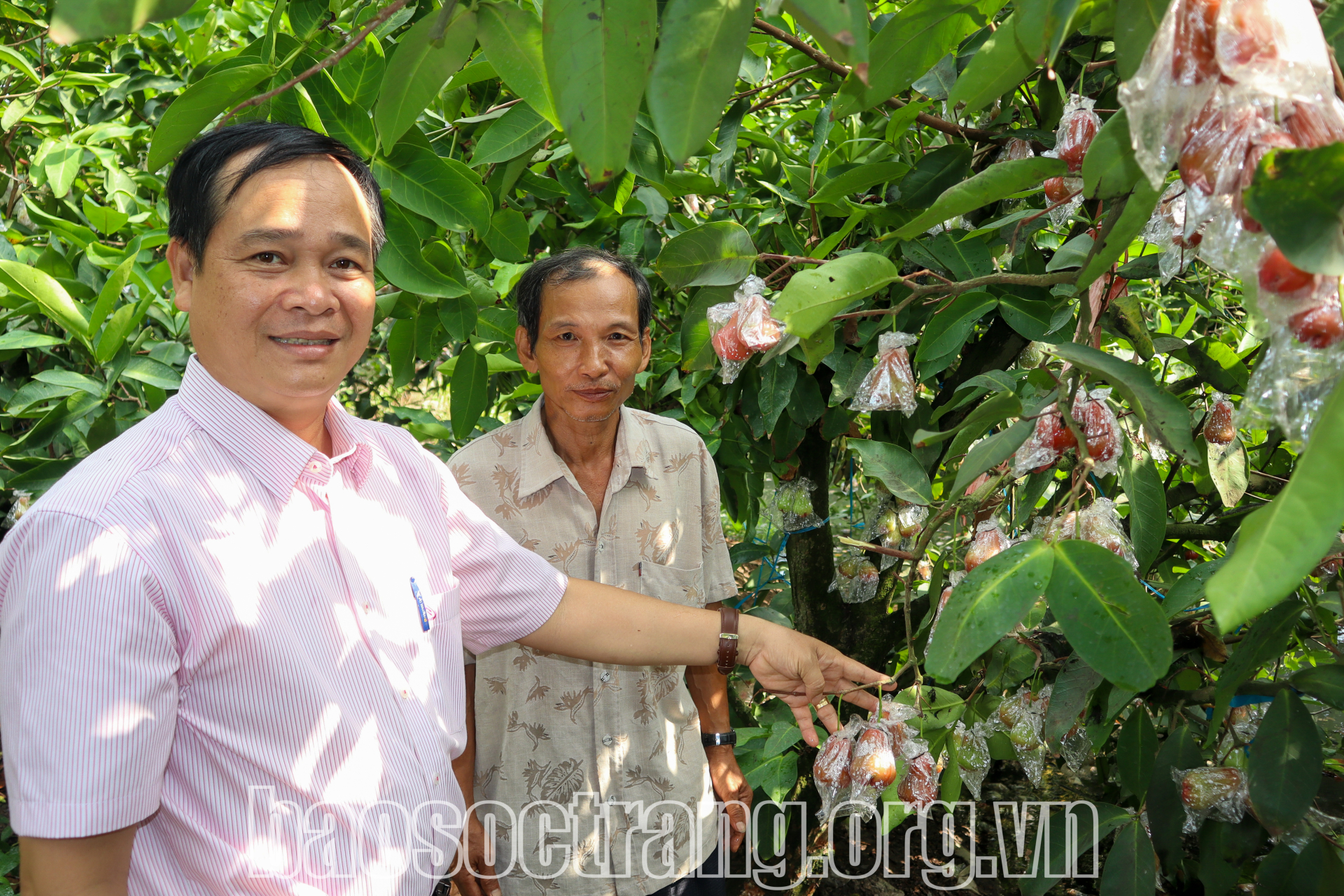 Thực hiện hiệu quả Nghị quyết số 11/NQ-CP về phục hồi kinh tế - xã hội trên địa bàn huyện Kế Sách