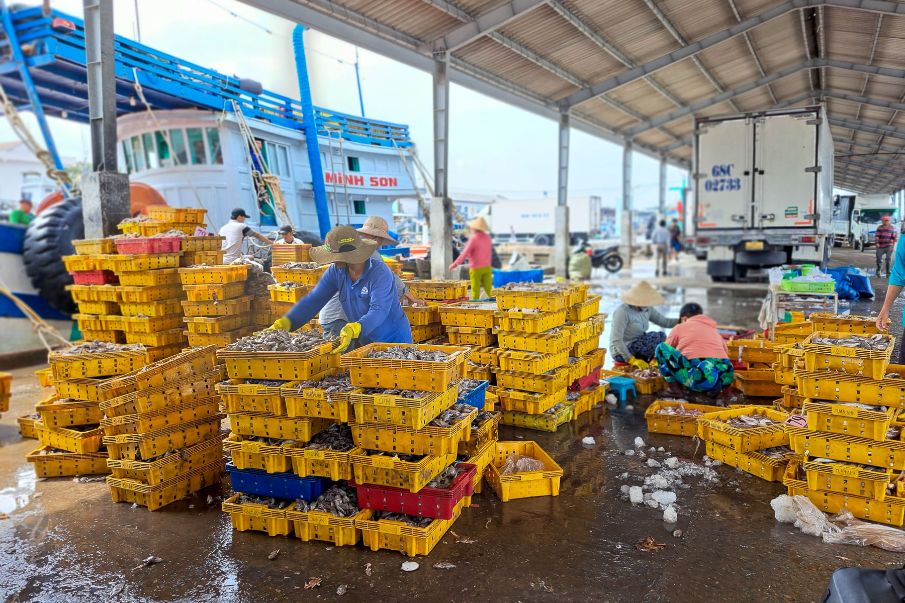 Vùng động lực ven biển