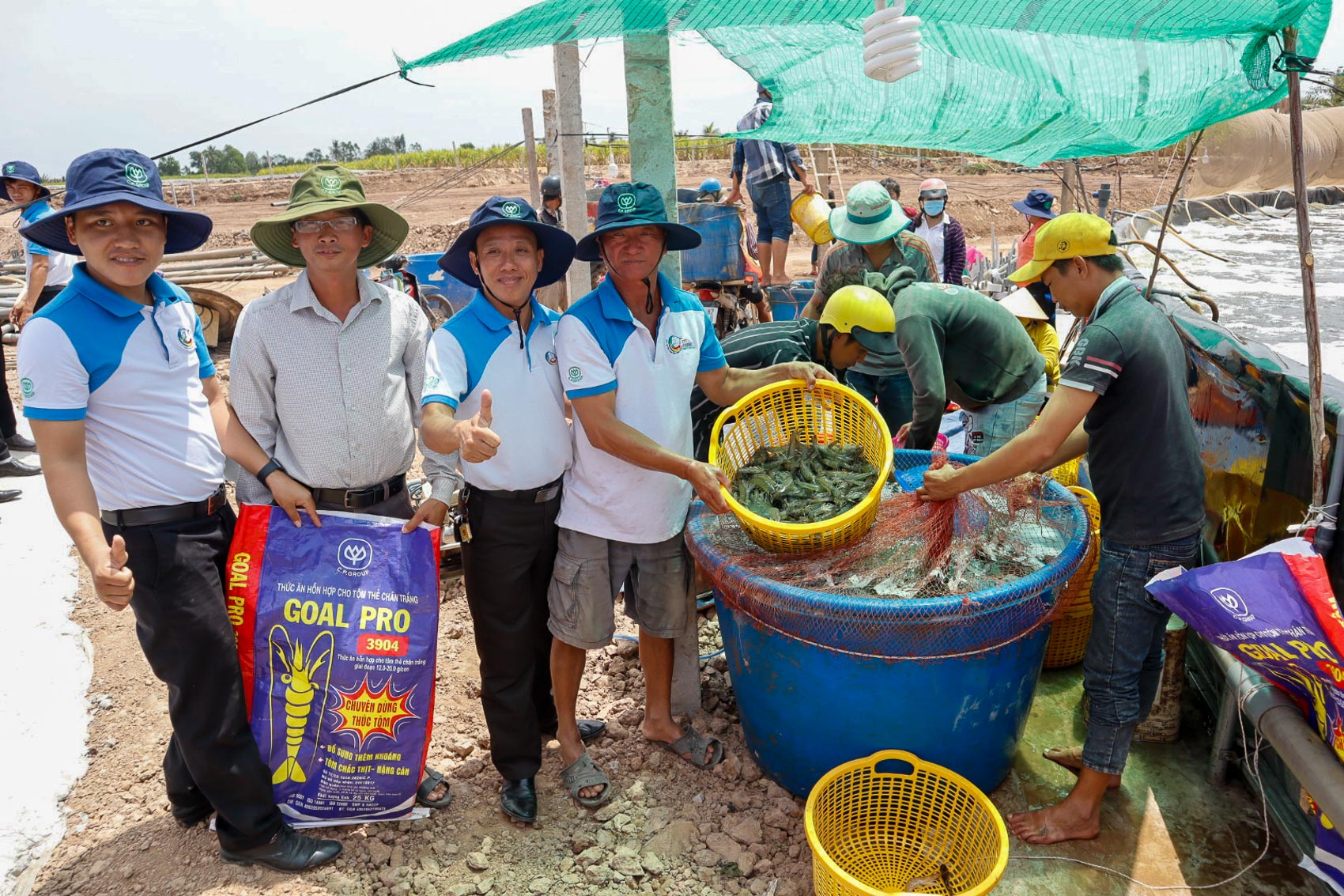 Còn khó nhưng giá sẽ tăng