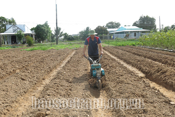 Nông dân tất bật xuống giống vụ màu sau tết Nguyên đán