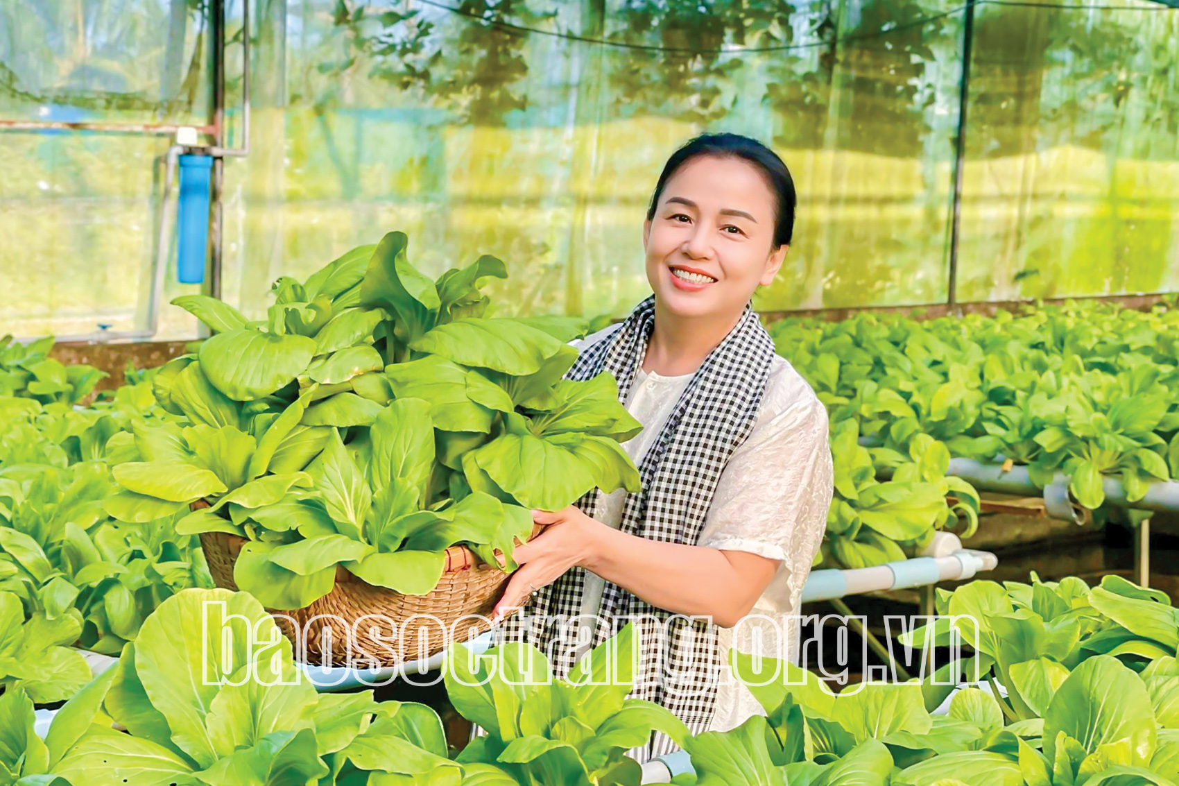 Phát triển nông nghiệp hữu cơ gắn với bảo vệ môi trường