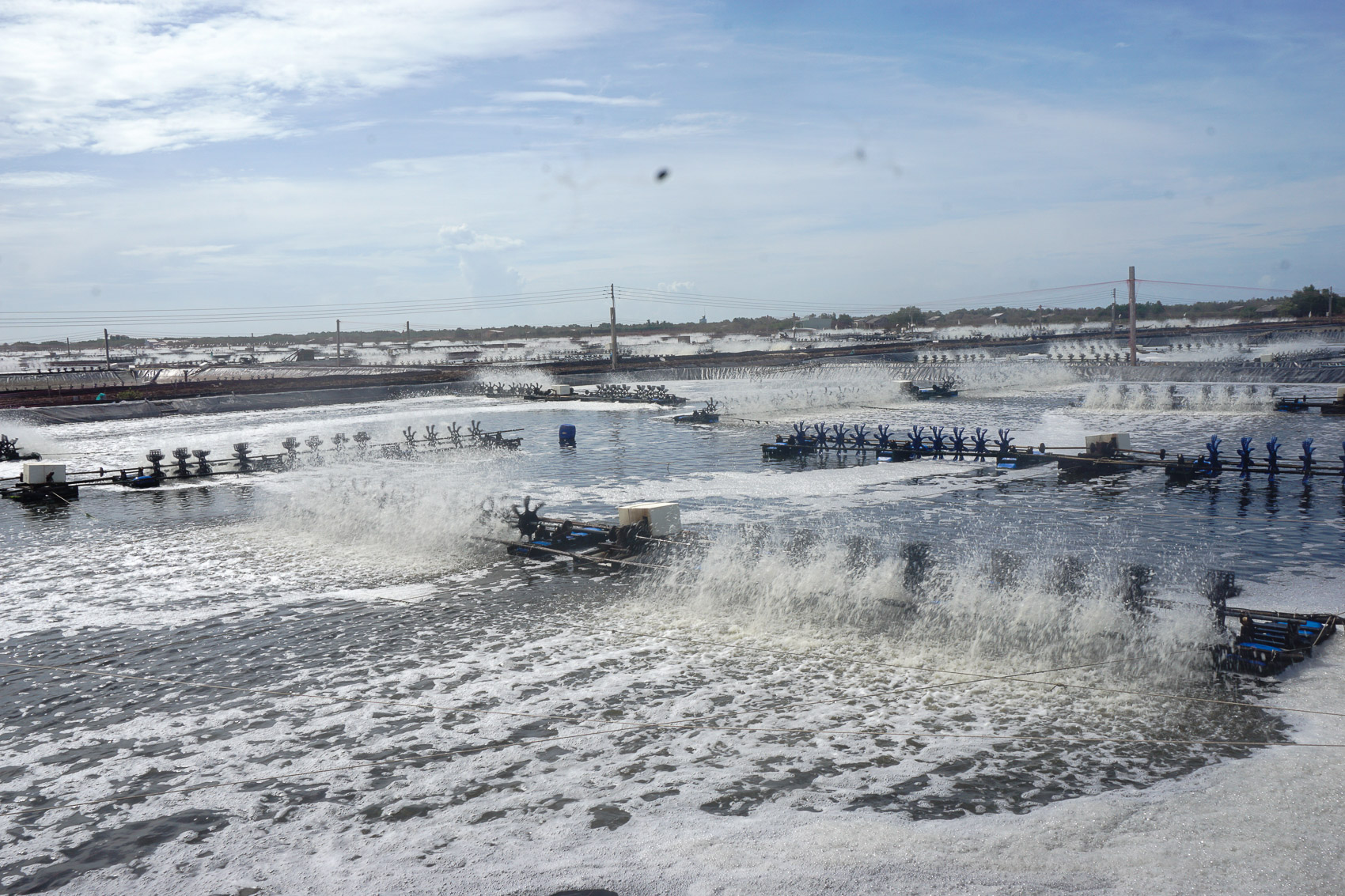 Cần sự trợ lực từ nguồn vốn tín dụng