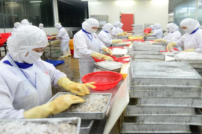 Xuất khẩu tôm sang thị trường EU tiếp tục tăng trưởng