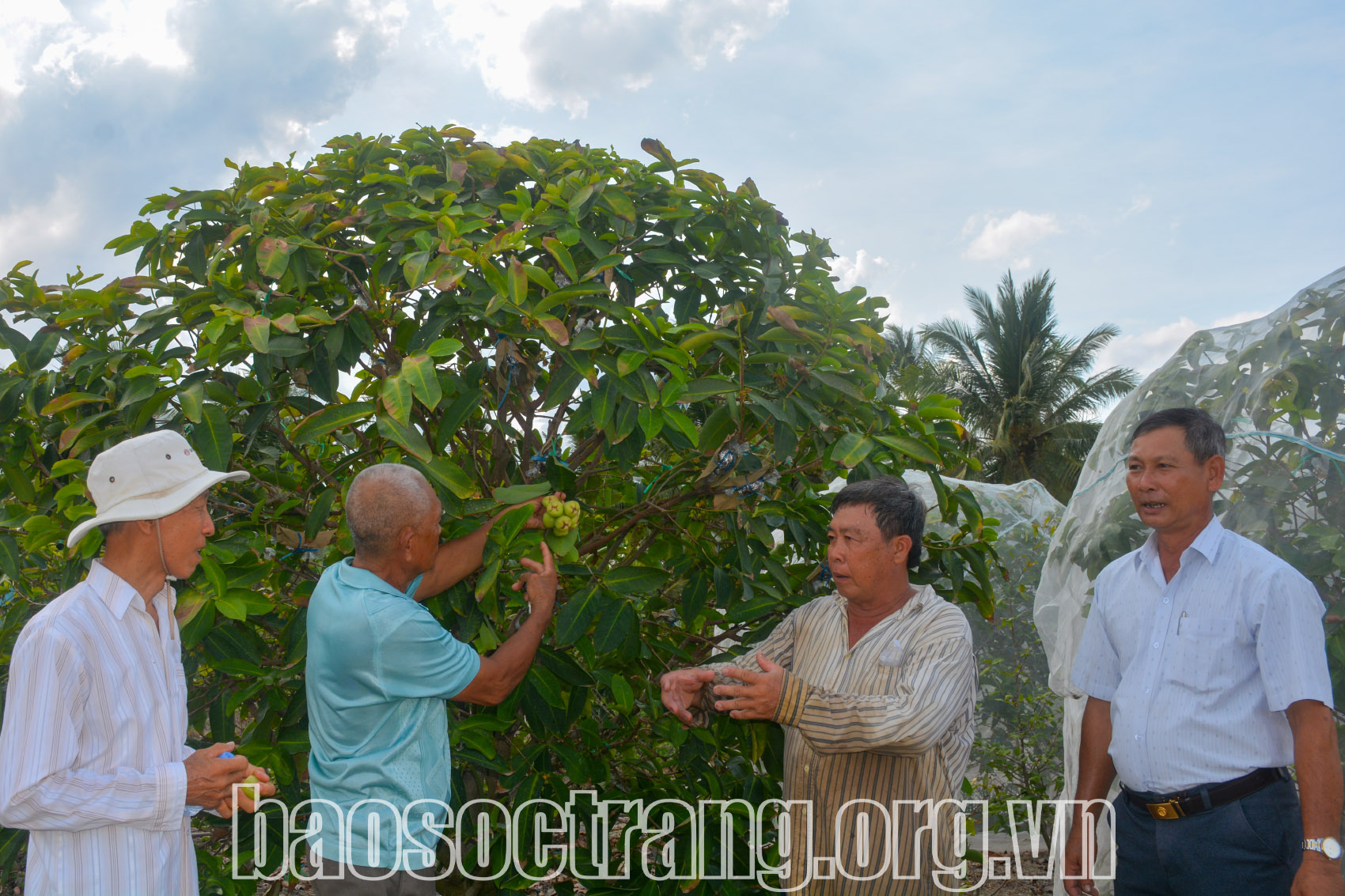 Về thăm Chòi Mòi