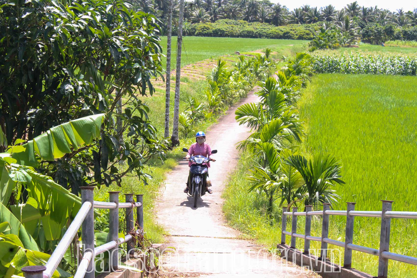 Người dân đồng thuận cao trong quy hoạch cụm, khu công nghiệp