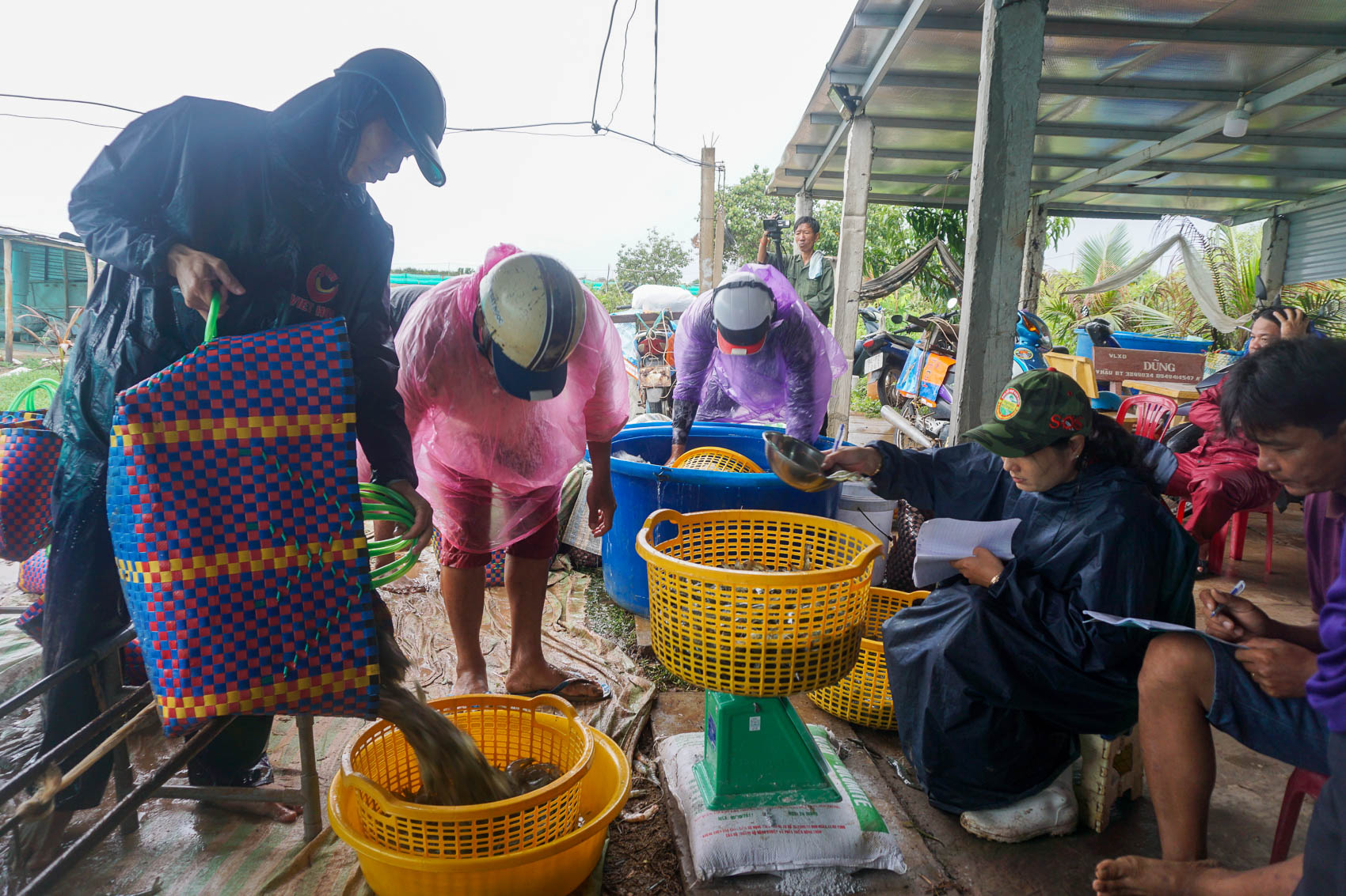 Đợi chờ và kỳ vọng