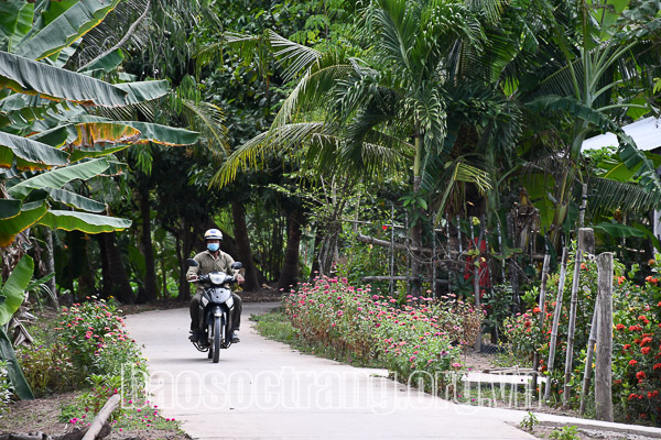 Tập trung nguồn lực thực hiện Chương trình mục tiêu quốc gia phát triển kinh tế - xã hội vùng đồng bào dân tộc thiểu số