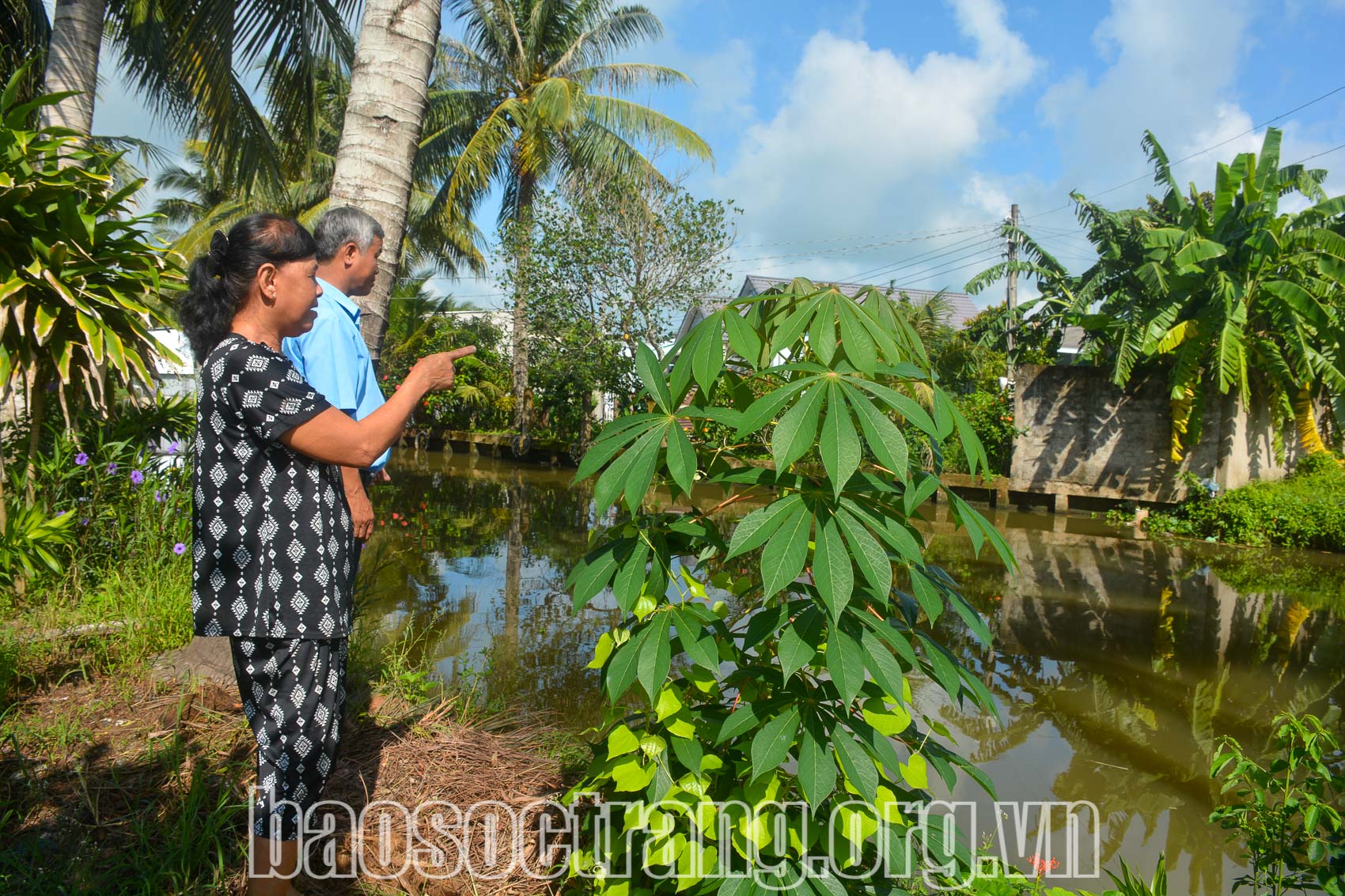 Đã khắc phục tình trạng ô nhiễm kênh Xa Mau