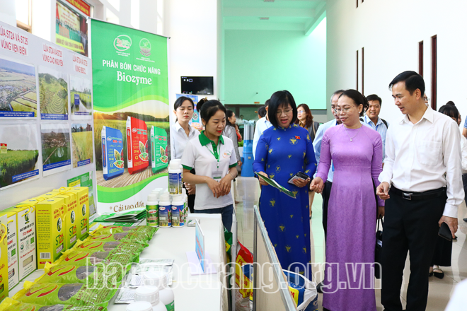 Phát triển thương hiệu, nâng chất lượng sản phẩm