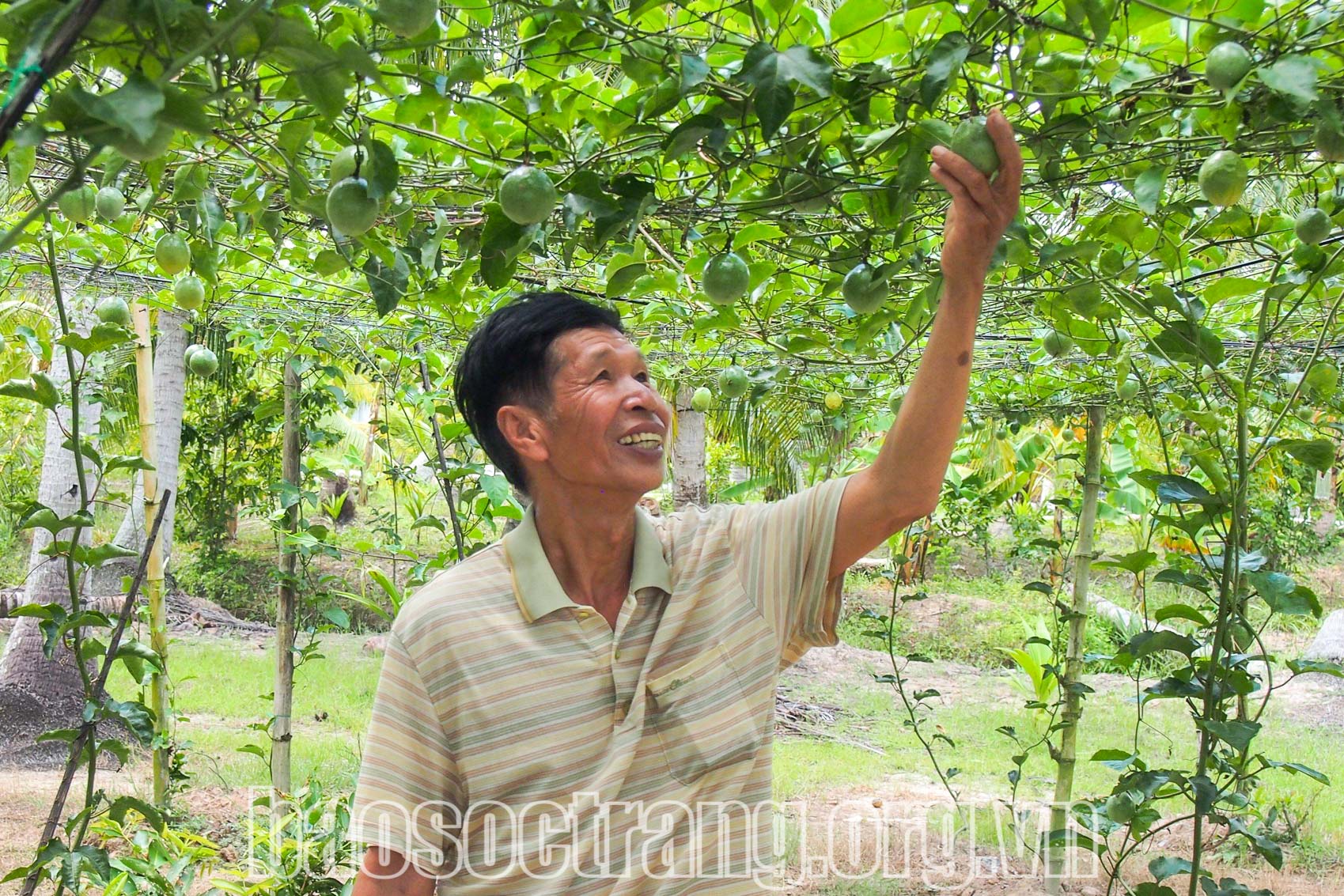 Lan tỏa mạnh mẽ việc học tập và làm theo Bác ở huyện Long Phú