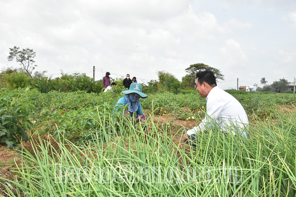 Tập trung thực hiện các dự án cho đồng bào dân tộc thiểu số