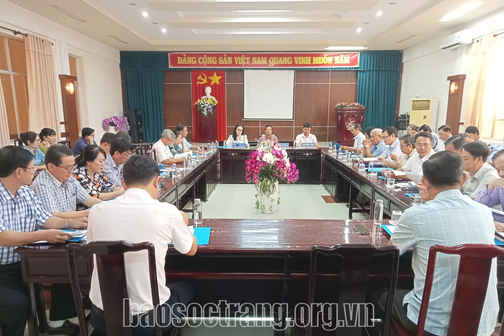 Huyện Kế Sách gieo sạ lúa đạt hơn 100% kế hoạch