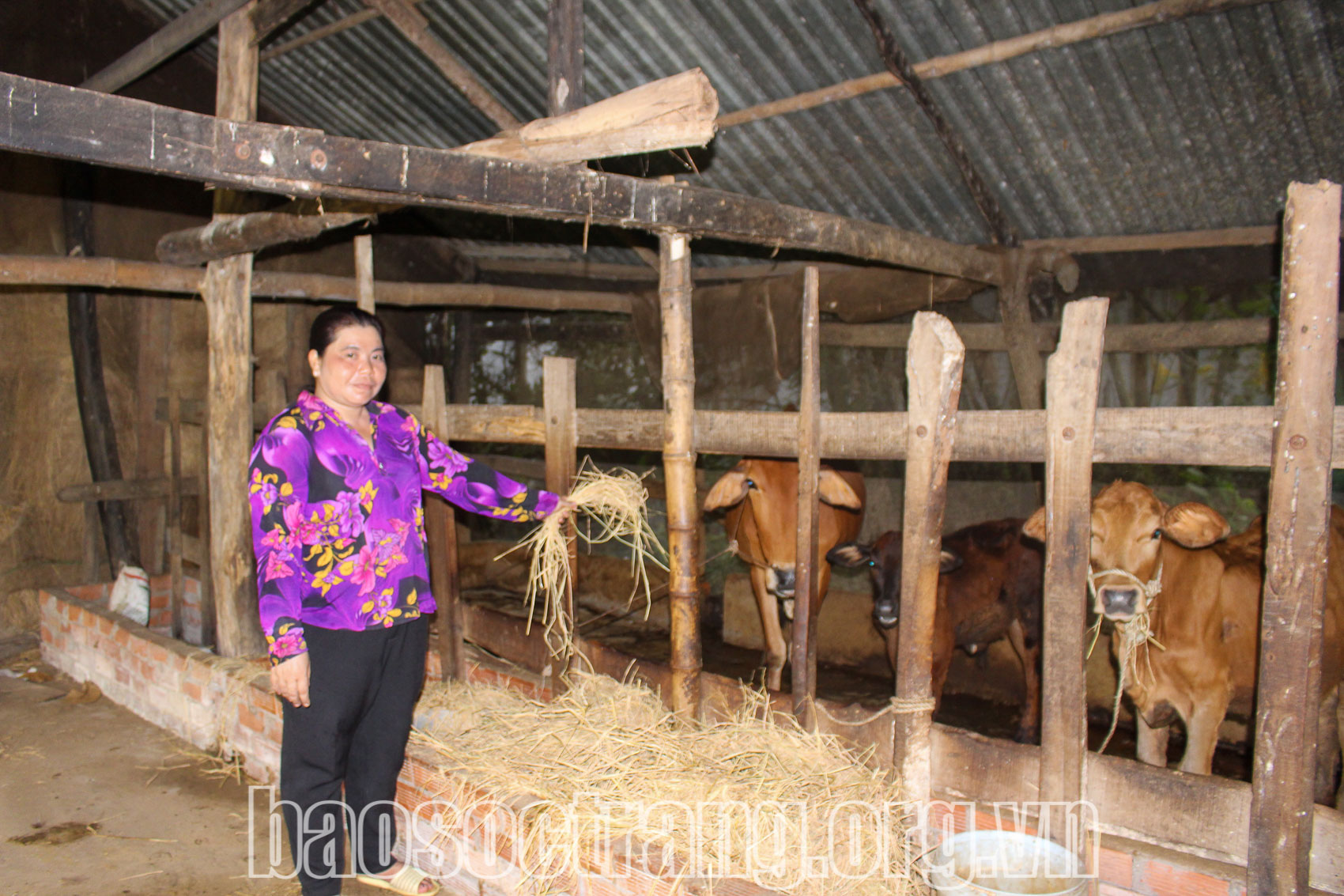 Hiệu quả từ các mô hình giúp phụ nữ phát triển kinh tế