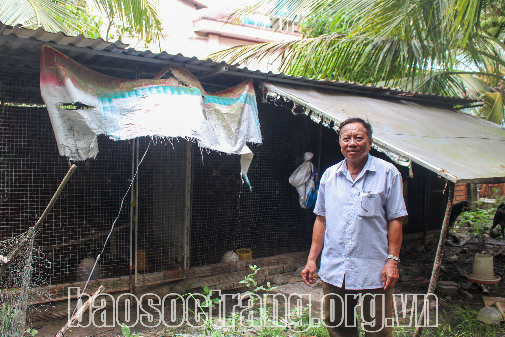 Cựu chiến binh làm giàu bằng mô hình kinh tế tổng hợp