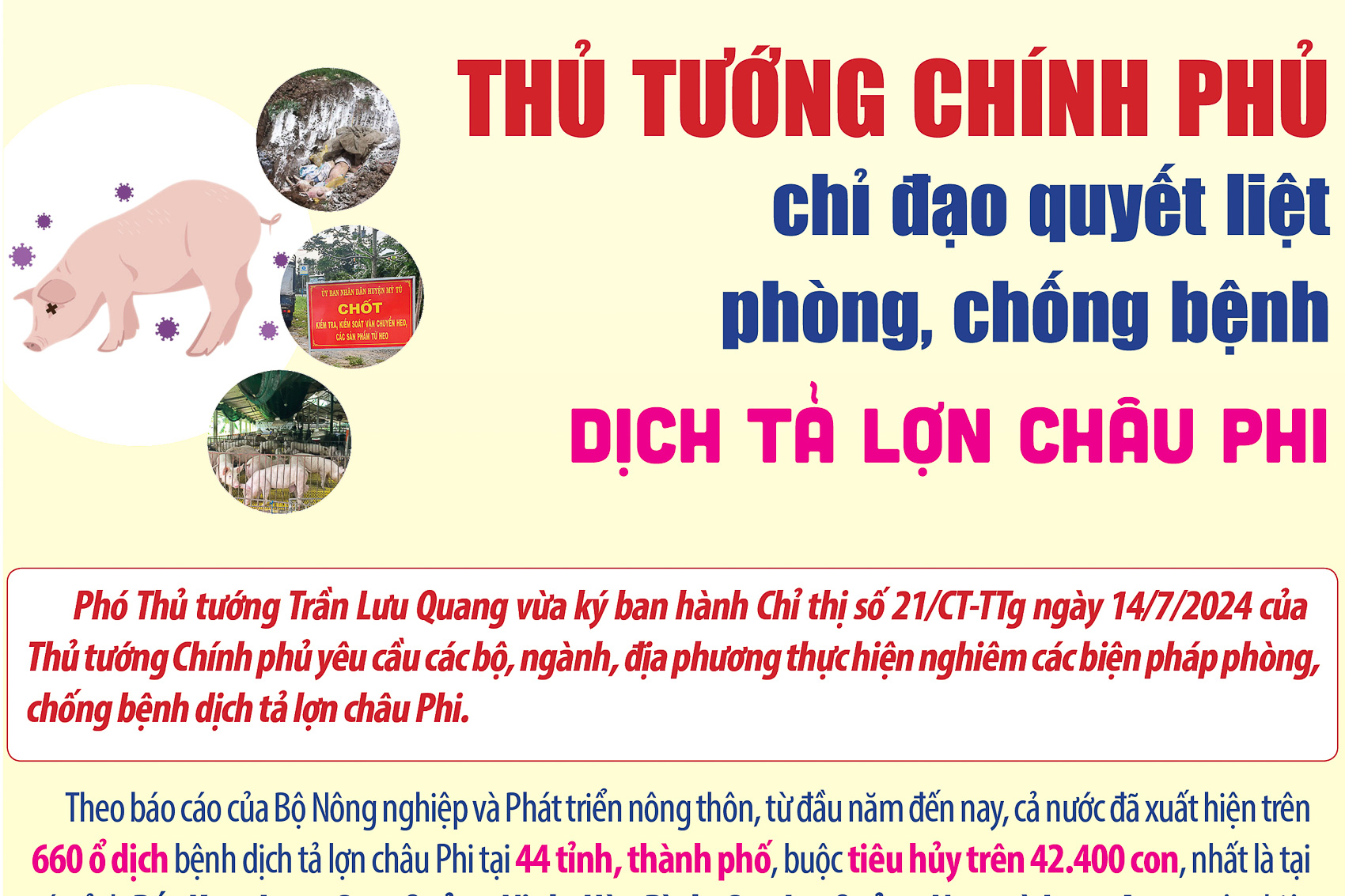 [Infographic] Thủ tướng Chính phủ yêu cầu thực hiện nghiêm các biện pháp phòng, chống bệnh dịch tả lợn châu Phi
