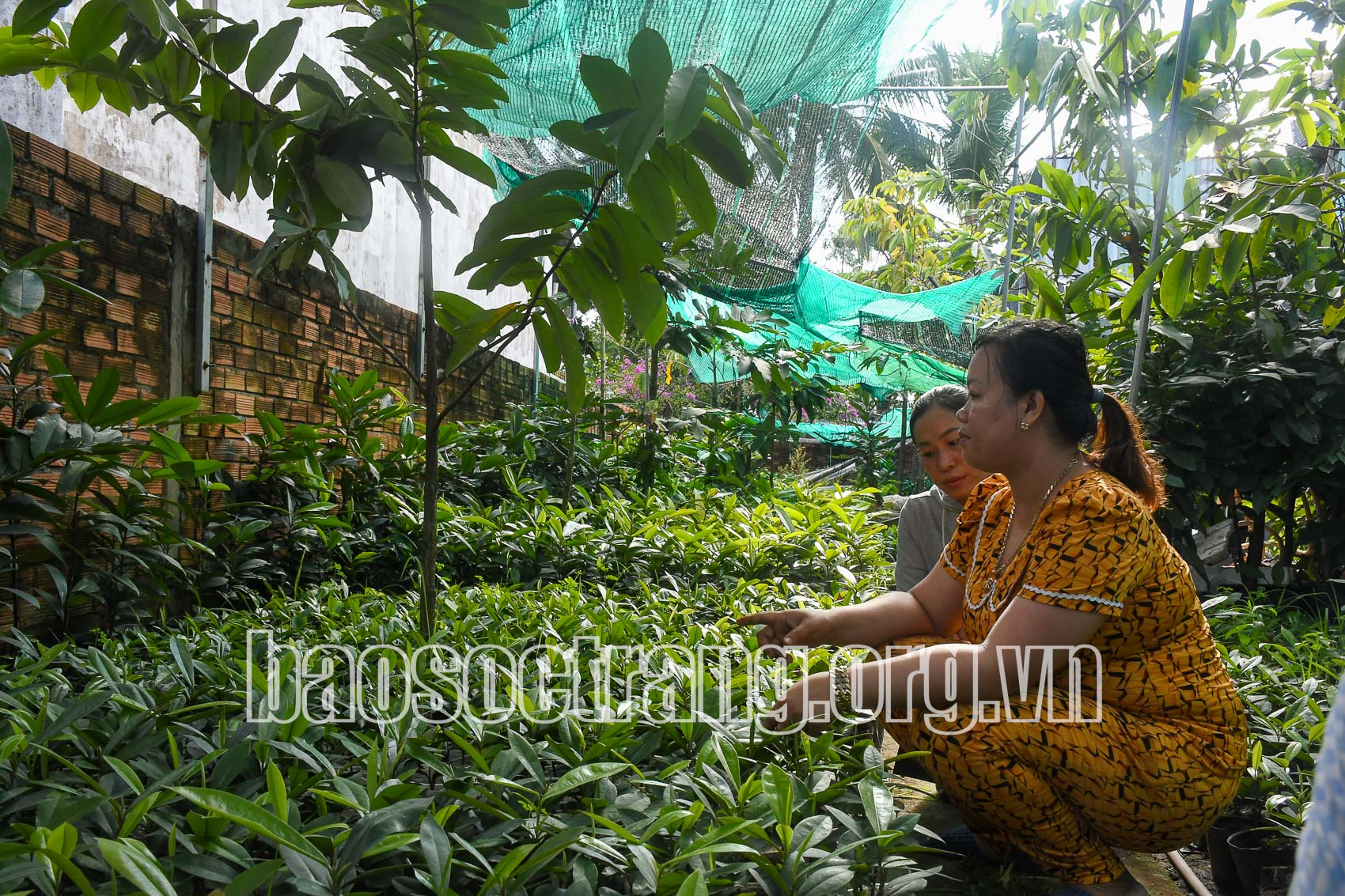 Huyện Châu Thành: Chú trọng giảm nghèo bền vững cho đồng bào dân tộc thiểu số